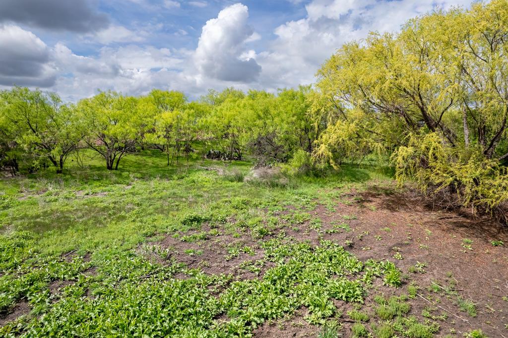 159 County Road 159 Coleman, TX 76834 - Photo 13 of 36 a view of a garden