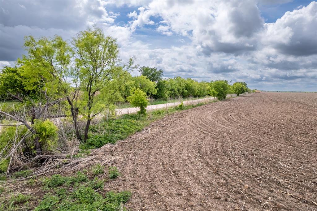 159 County Road 159 Coleman, TX 76834 - Photo 15 of 36 a view of a pathway with a yard