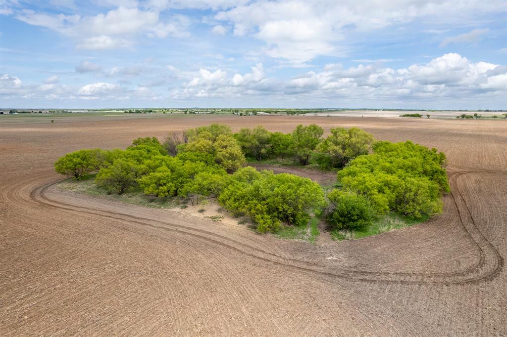 159 County Road 159 Coleman, TX 76834 - Photo 4 of 36 a view of a lake with a big yard