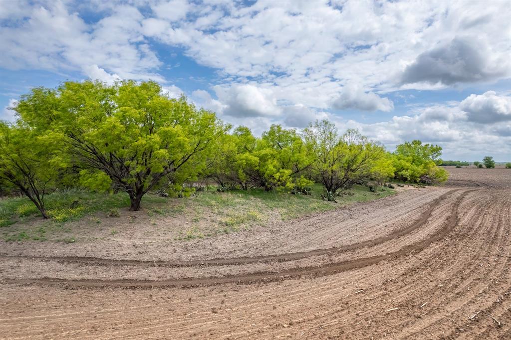 159 County Road 159 Coleman, TX 76834 - Photo 6 of 36 a backyard of a house with lots of green space