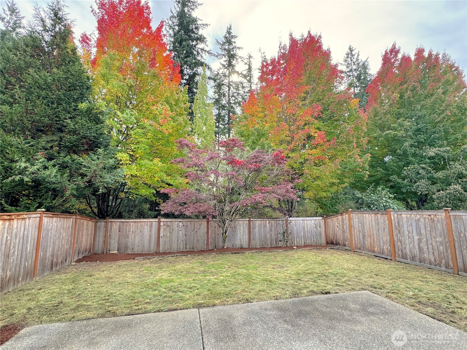 23515 Southeast 243rd Place Maple Valley, WA 98038 - Photo 28 of 28 a backyard of a house