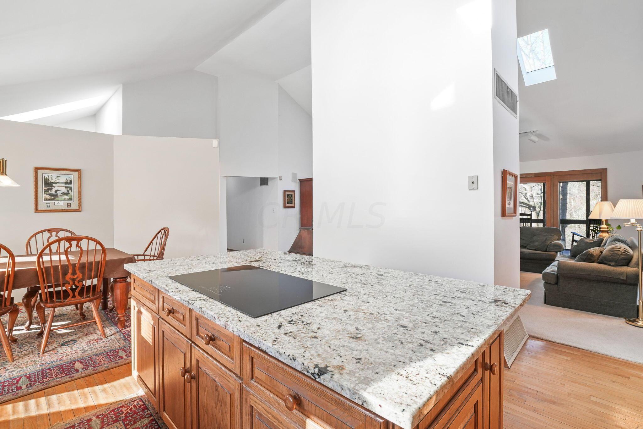 8225 Riverside Drive Powell, OH 43065 - Photo 19 of 79 11-web-or-mls-DSC07618