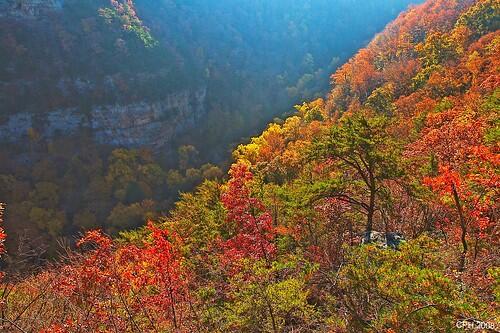 3900 Sunset Drive Rising Fawn, GA 30738 - Photo 5 of 5 cc