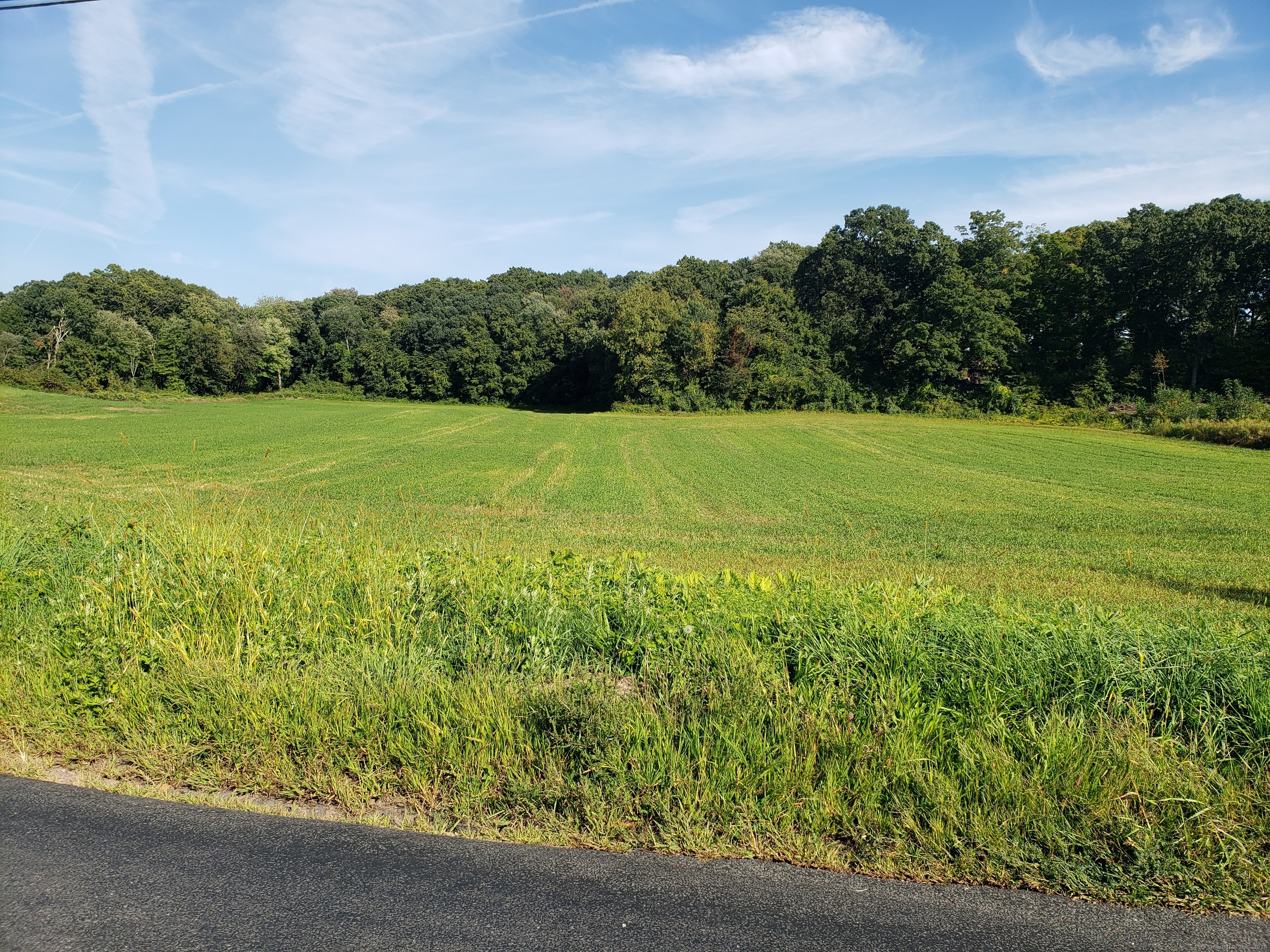 0 Chamberlain Road Broad Brook, CT 06016 - Photo 11 of 16 a view of a yard with an outdoor seating