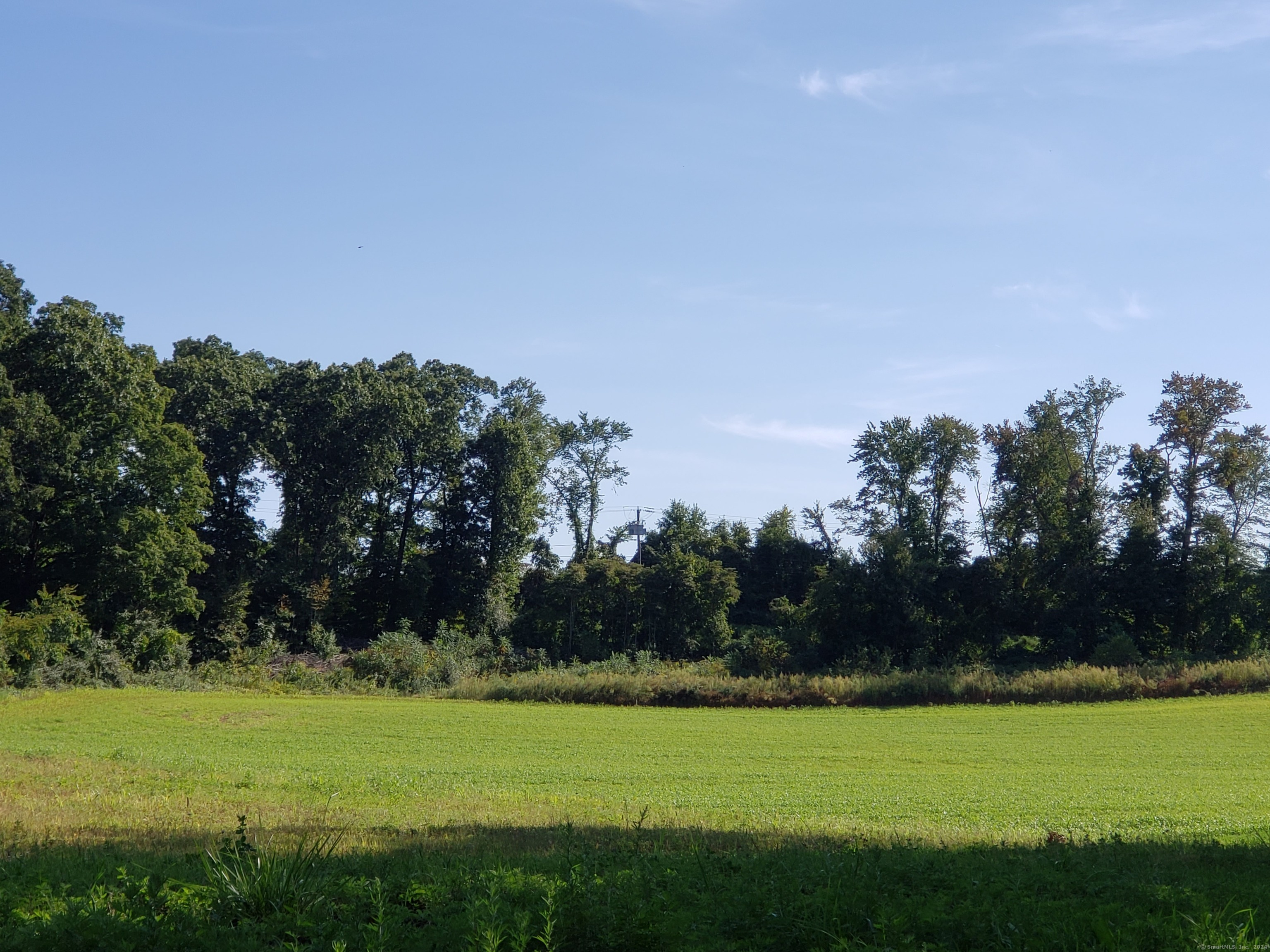 0 Chamberlain Road Broad Brook, CT 06016 - Photo 6 of 16 a view of a grassy field with trees