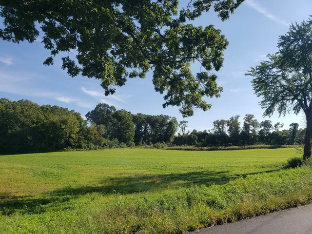 a view of a golf course with a lake