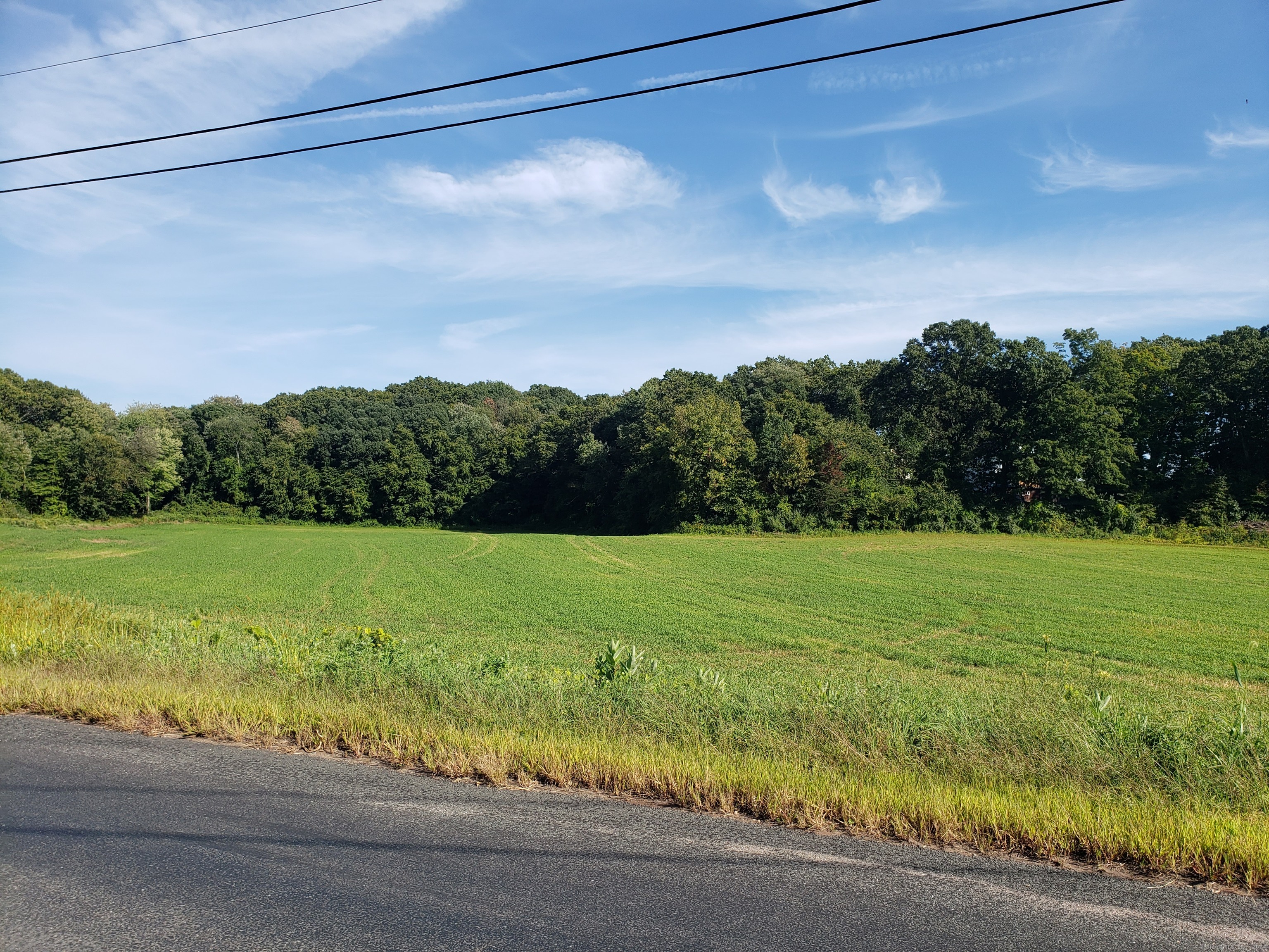 0 Chamberlain Road Broad Brook, CT 06016 - Photo 9 of 16 a view of a yard with an outdoor space