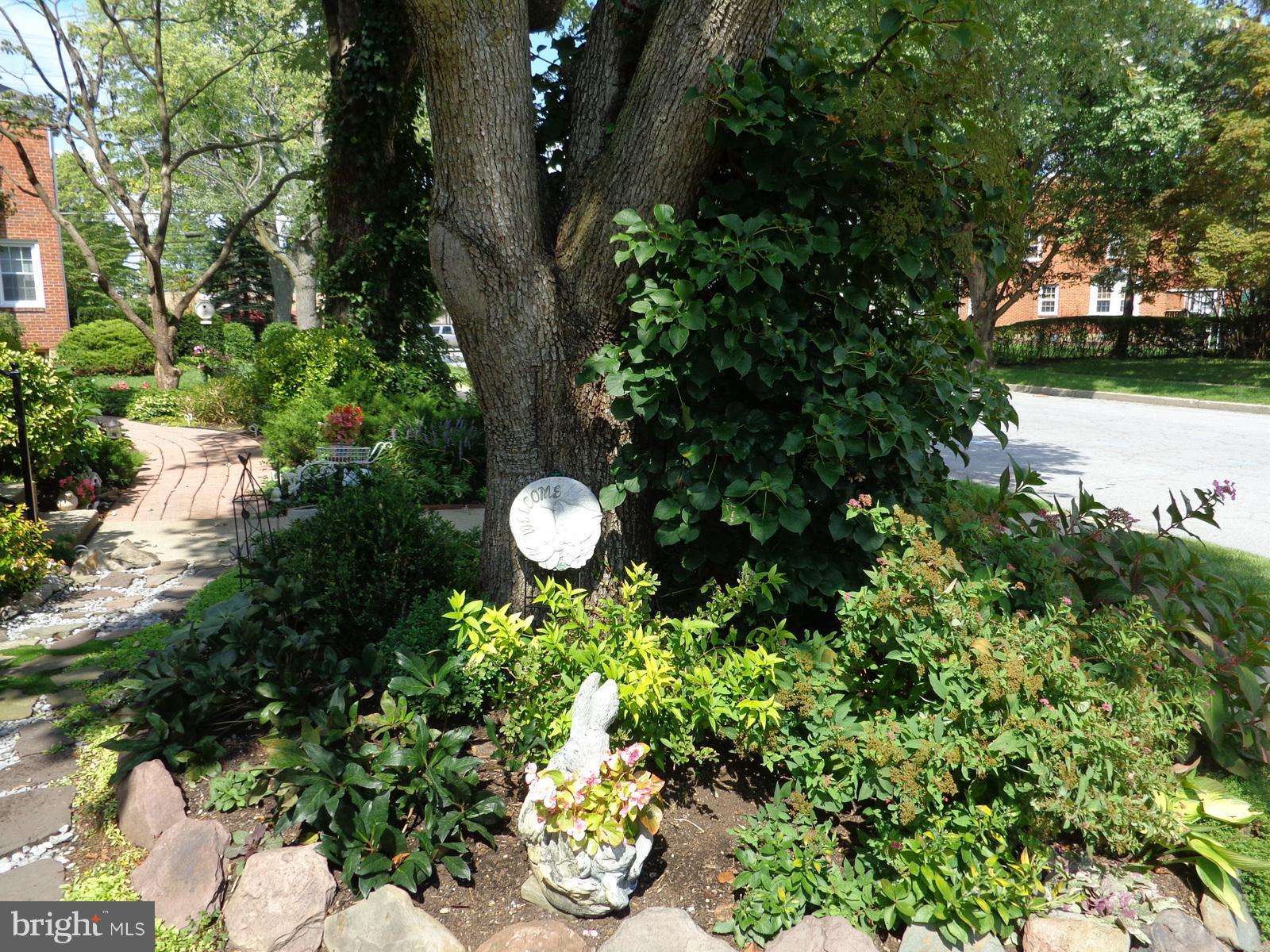 8620 Drumwood Road Baltimore, MD 21286 - Photo 24 of 24 Tree and garden in front yard