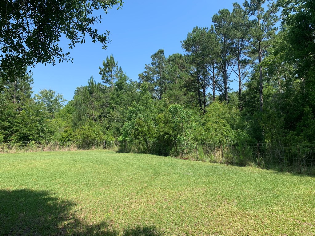 Lot 22 Doc Whitfield Road Wewahitchka, FL 32465 - Photo 11 of 28