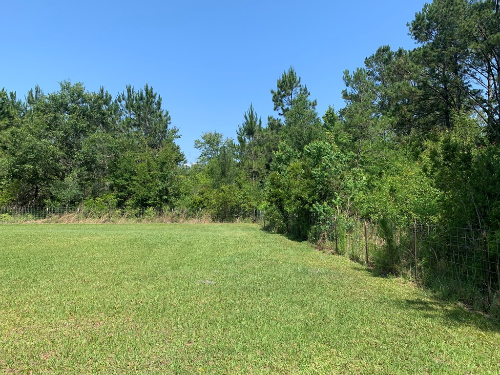 Lot 22 Doc Whitfield Road Wewahitchka, FL 32465 - Photo 13 of 28