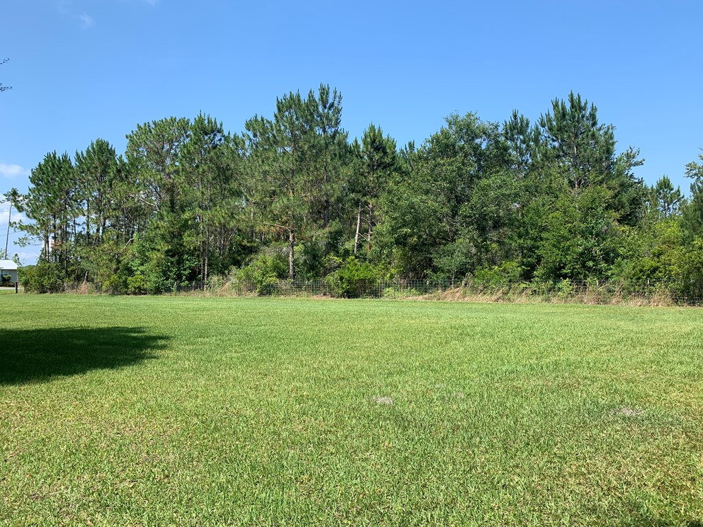 Lot 22 Doc Whitfield Road Wewahitchka, FL 32465 - Photo 14 of 28