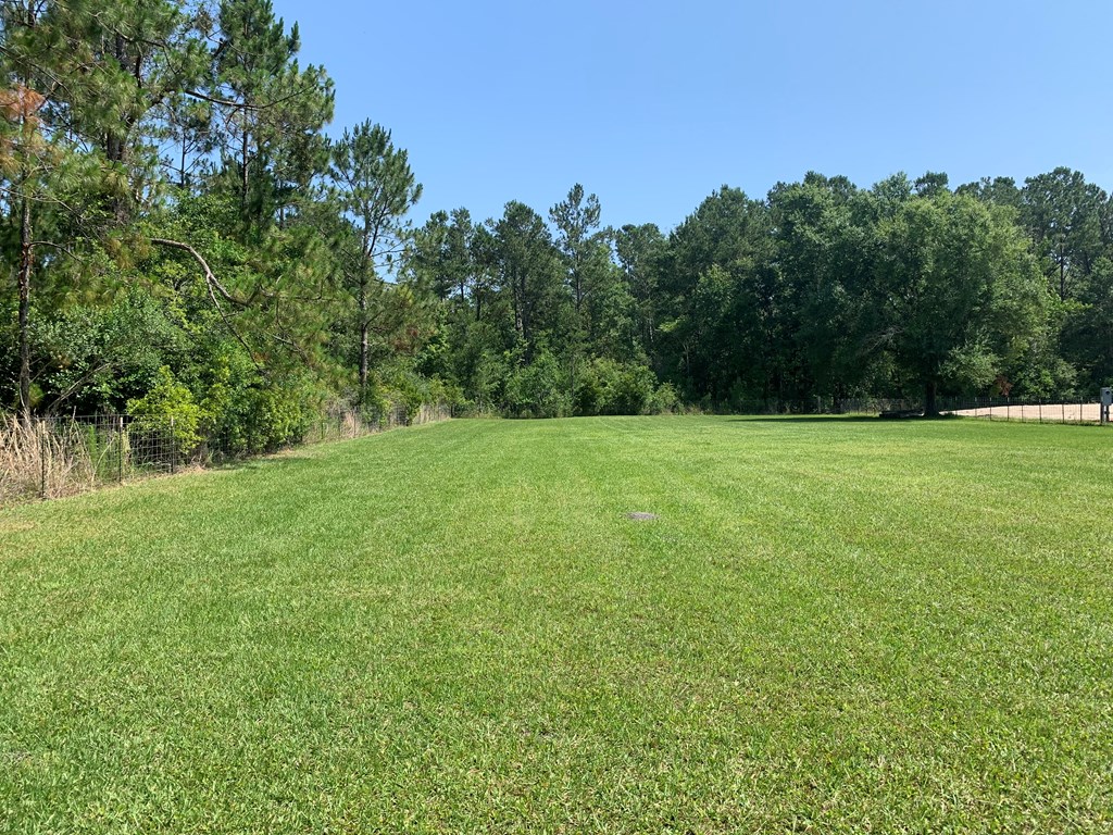 Lot 22 Doc Whitfield Road Wewahitchka, FL 32465 - Photo 16 of 28