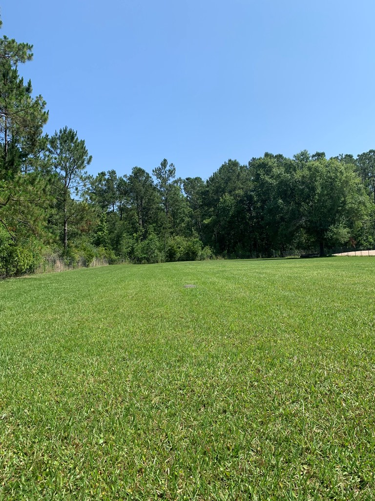 Lot 22 Doc Whitfield Road Wewahitchka, FL 32465 - Photo 17 of 28