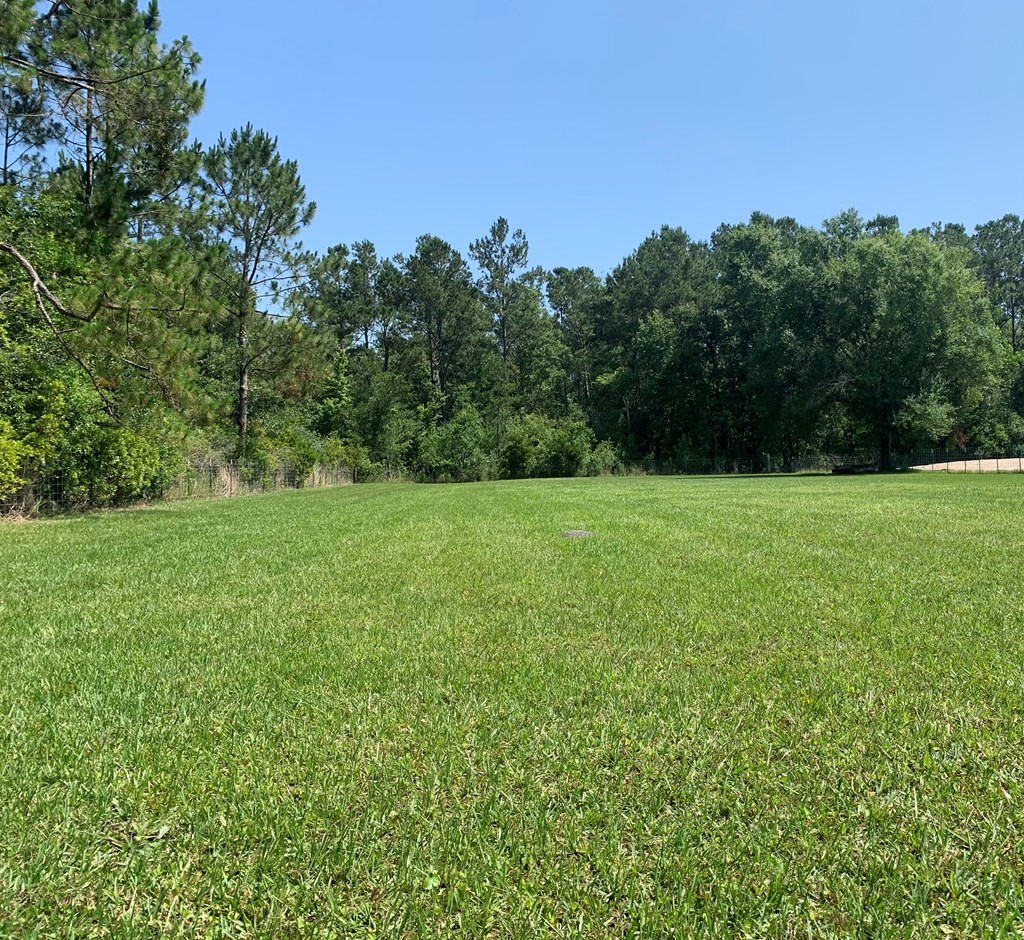 Lot 22 Doc Whitfield Road Wewahitchka, FL 32465 - Photo 18 of 28