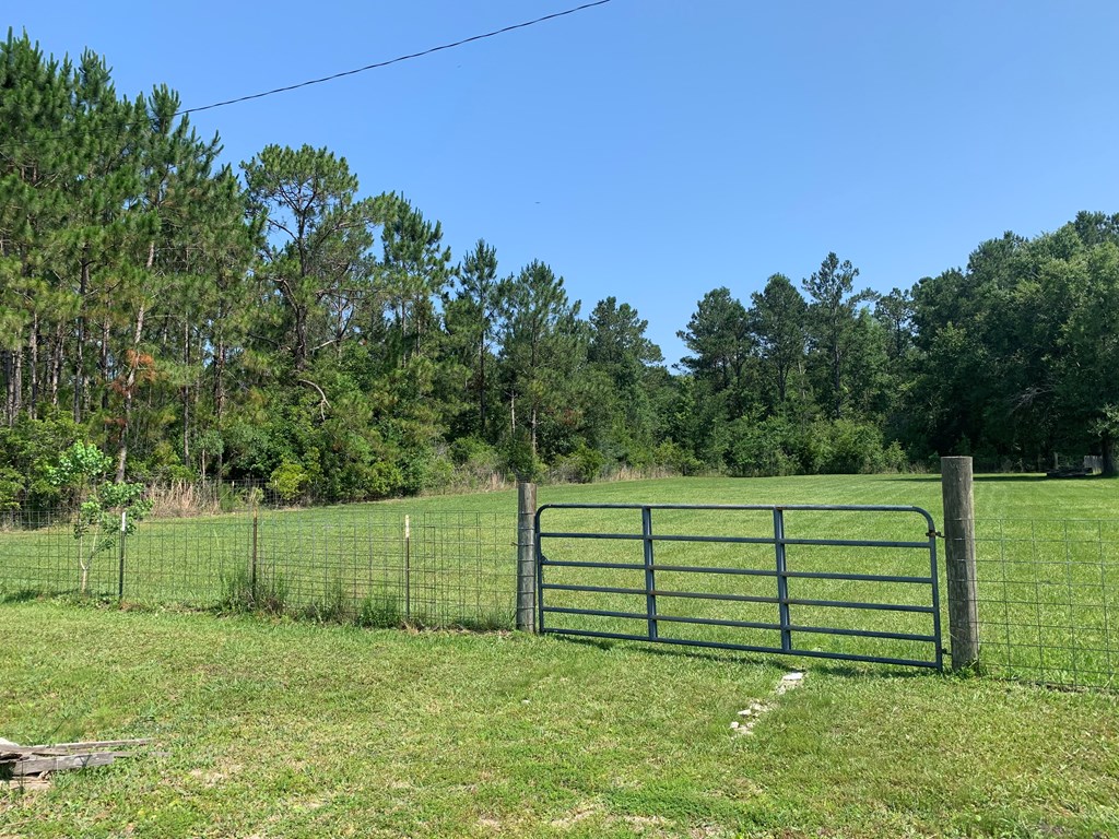 Lot 22 Doc Whitfield Road Wewahitchka, FL 32465 - Photo 2 of 28