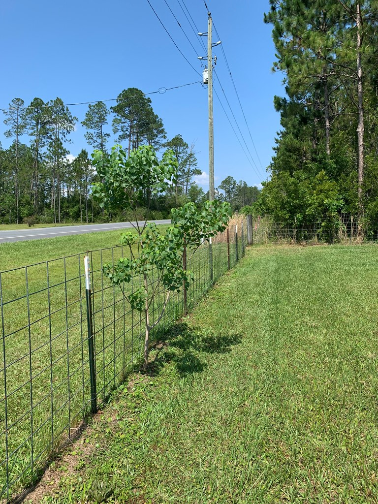 Lot 22 Doc Whitfield Road Wewahitchka, FL 32465 - Photo 21 of 28