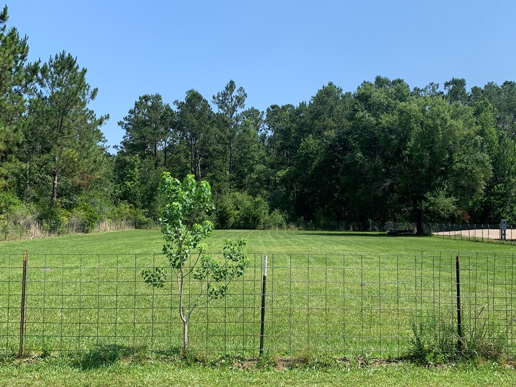 Lot 22 Doc Whitfield Road Wewahitchka, FL 32465 - Photo 23 of 28