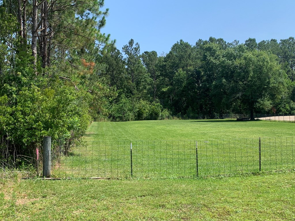 Lot 22 Doc Whitfield Road Wewahitchka, FL 32465 - Photo 24 of 28