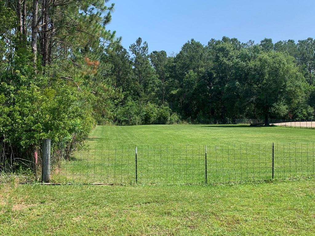 Lot 22 Doc Whitfield Road Wewahitchka, FL 32465 - Photo 25 of 28