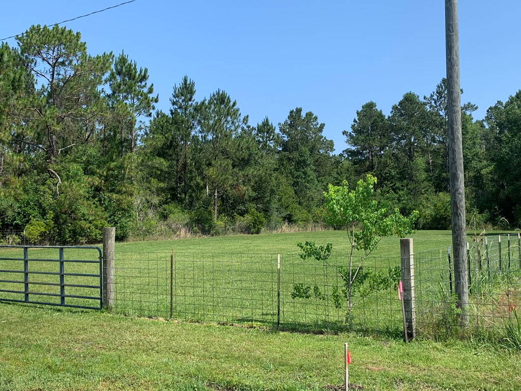 Lot 22 Doc Whitfield Road Wewahitchka, FL 32465 - Photo 26 of 28