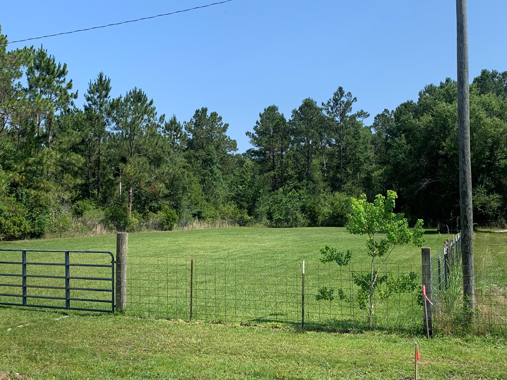 Lot 22 Doc Whitfield Road Wewahitchka, FL 32465 - Photo 27 of 28