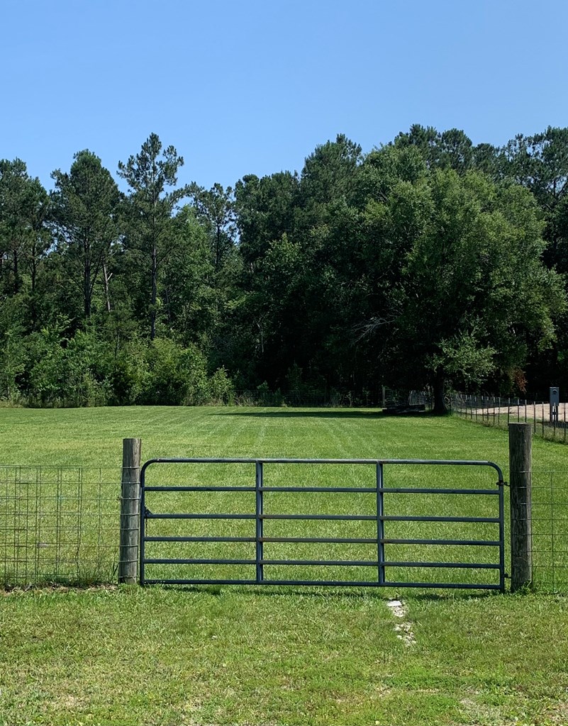 Lot 22 Doc Whitfield Road Wewahitchka, FL 32465 - Photo 3 of 28