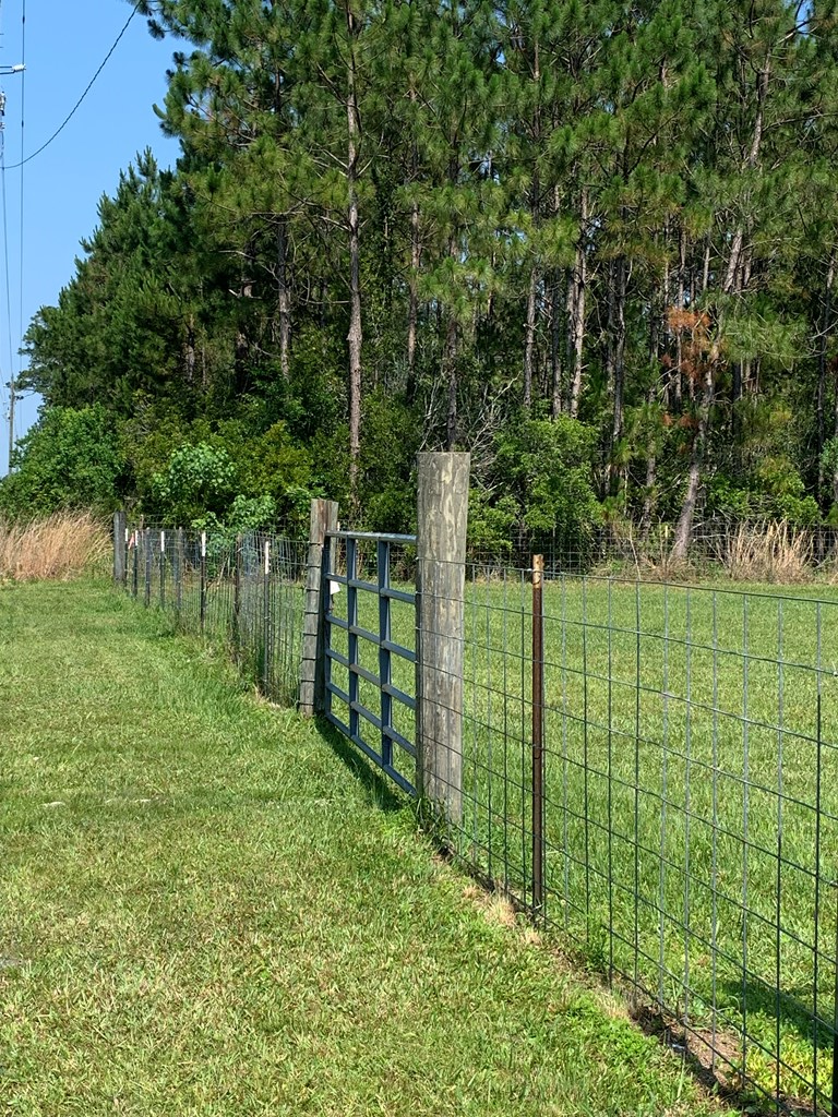 Lot 22 Doc Whitfield Road Wewahitchka, FL 32465 - Photo 5 of 28