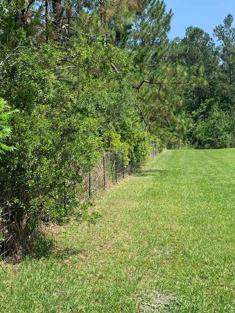Lot 22 Doc Whitfield Road Wewahitchka, FL 32465 - Photo 6 of 28
