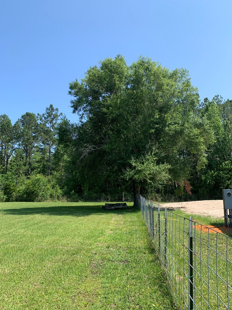 Lot 22 Doc Whitfield Road Wewahitchka, FL 32465 - Photo 7 of 28