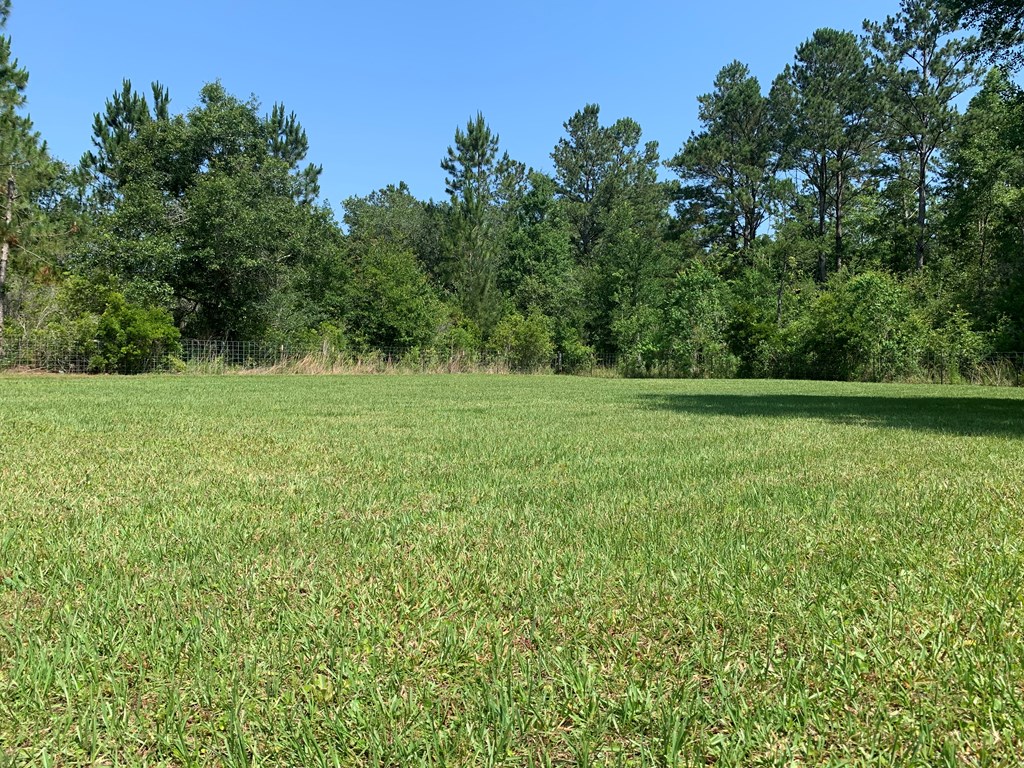 Lot 22 Doc Whitfield Road Wewahitchka, FL 32465 - Photo 8 of 28