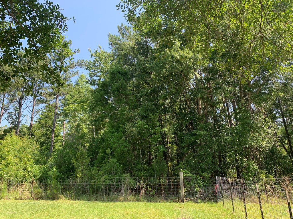 Lot 22 Doc Whitfield Road Wewahitchka, FL 32465 - Photo 10 of 28