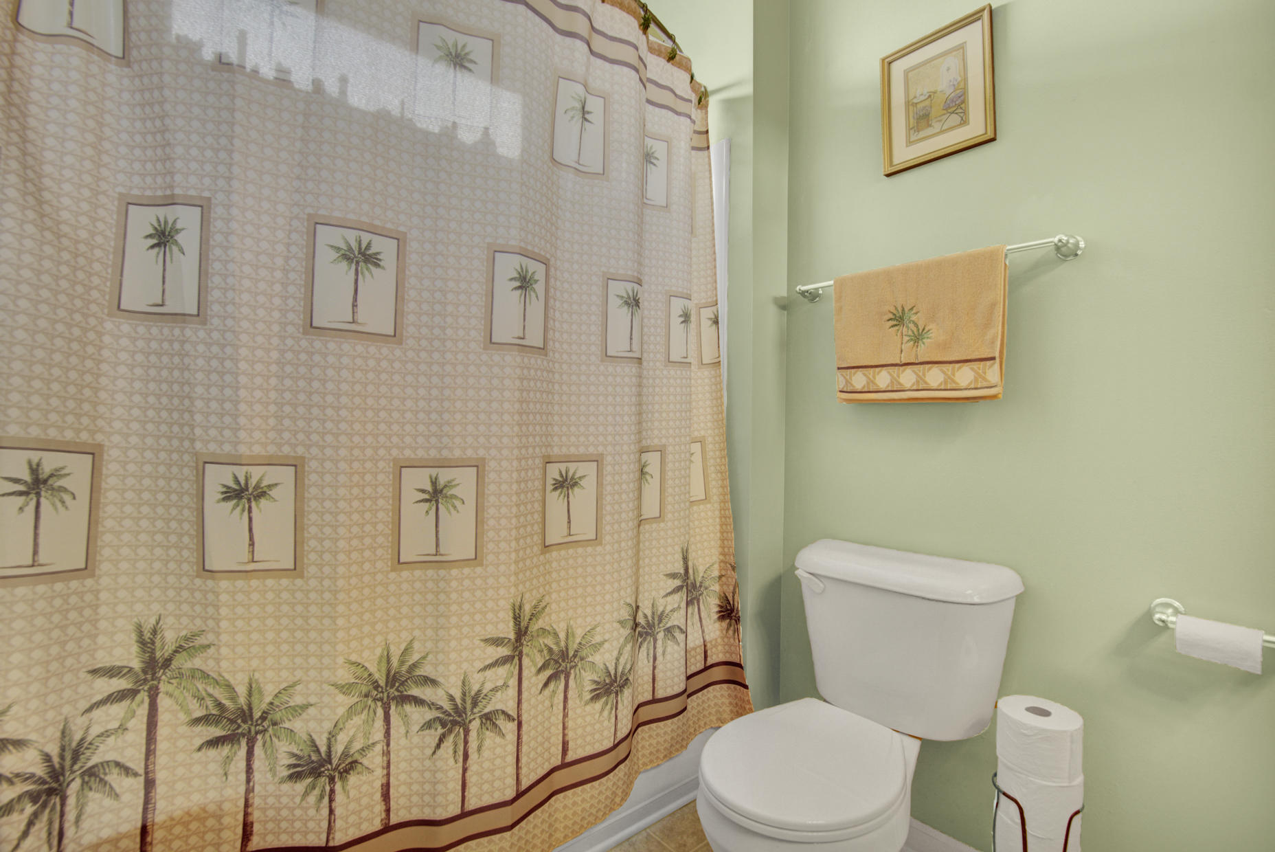 223 2 Forts Road Moncks Corner, SC 29461 - Photo 19 of 21 Master Bath pic 2