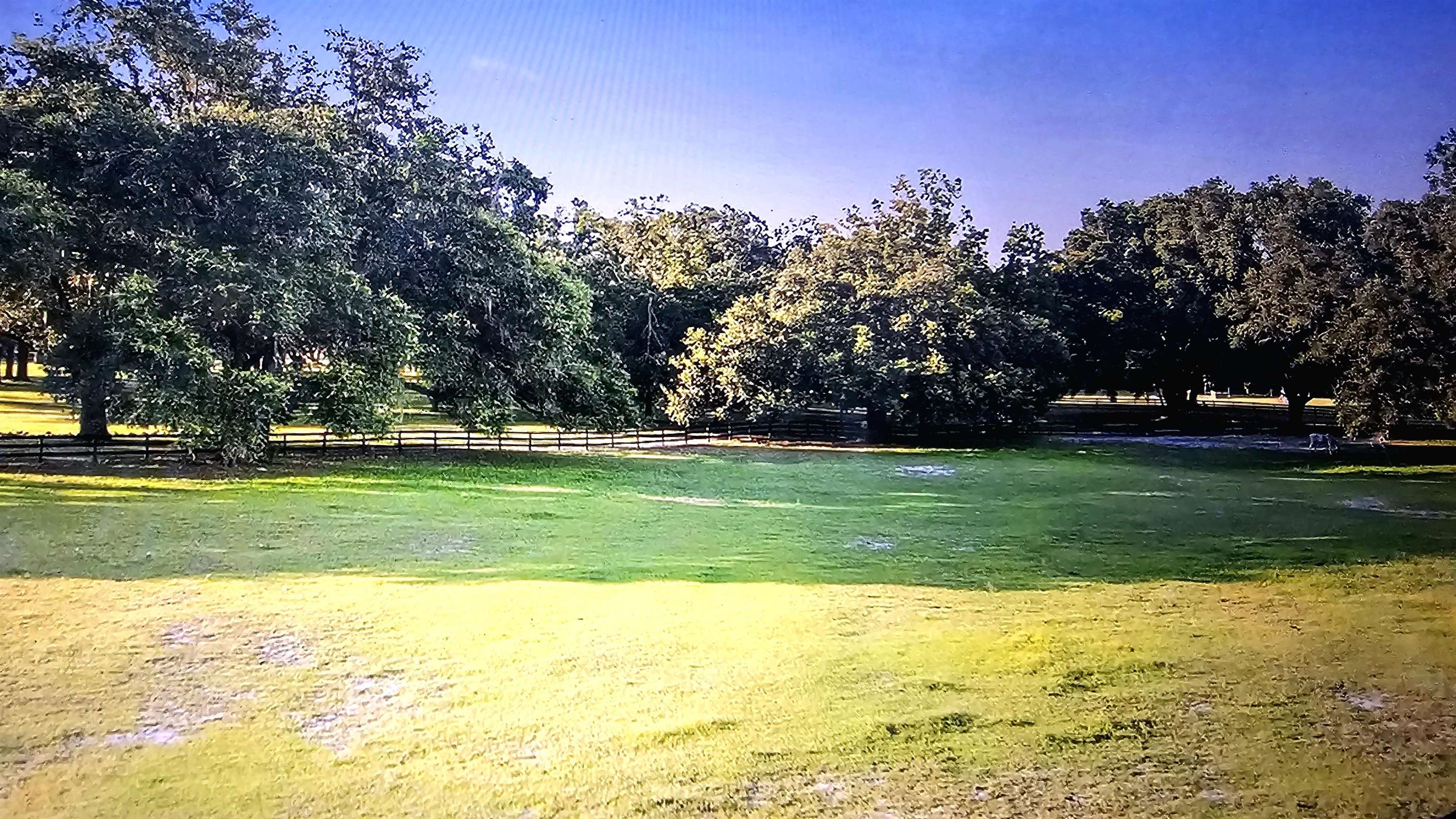 16513 Southwest 5th Place Newberry, FL 32669 - Photo 2 of 2 a view of a park