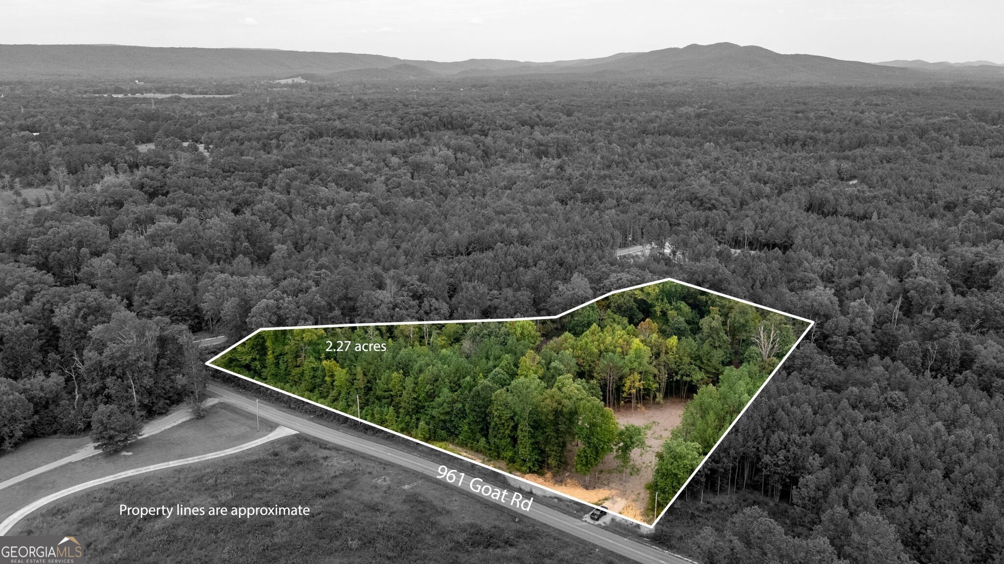 961 Goat Road Resaca, GA 30735 - Photo 1 of 1