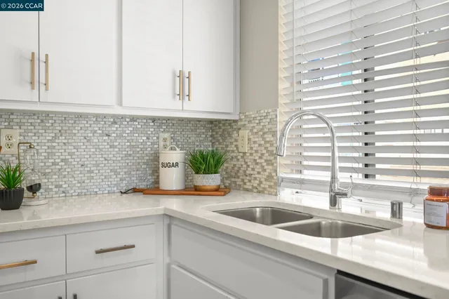 a kitchen with a sink and potted plant