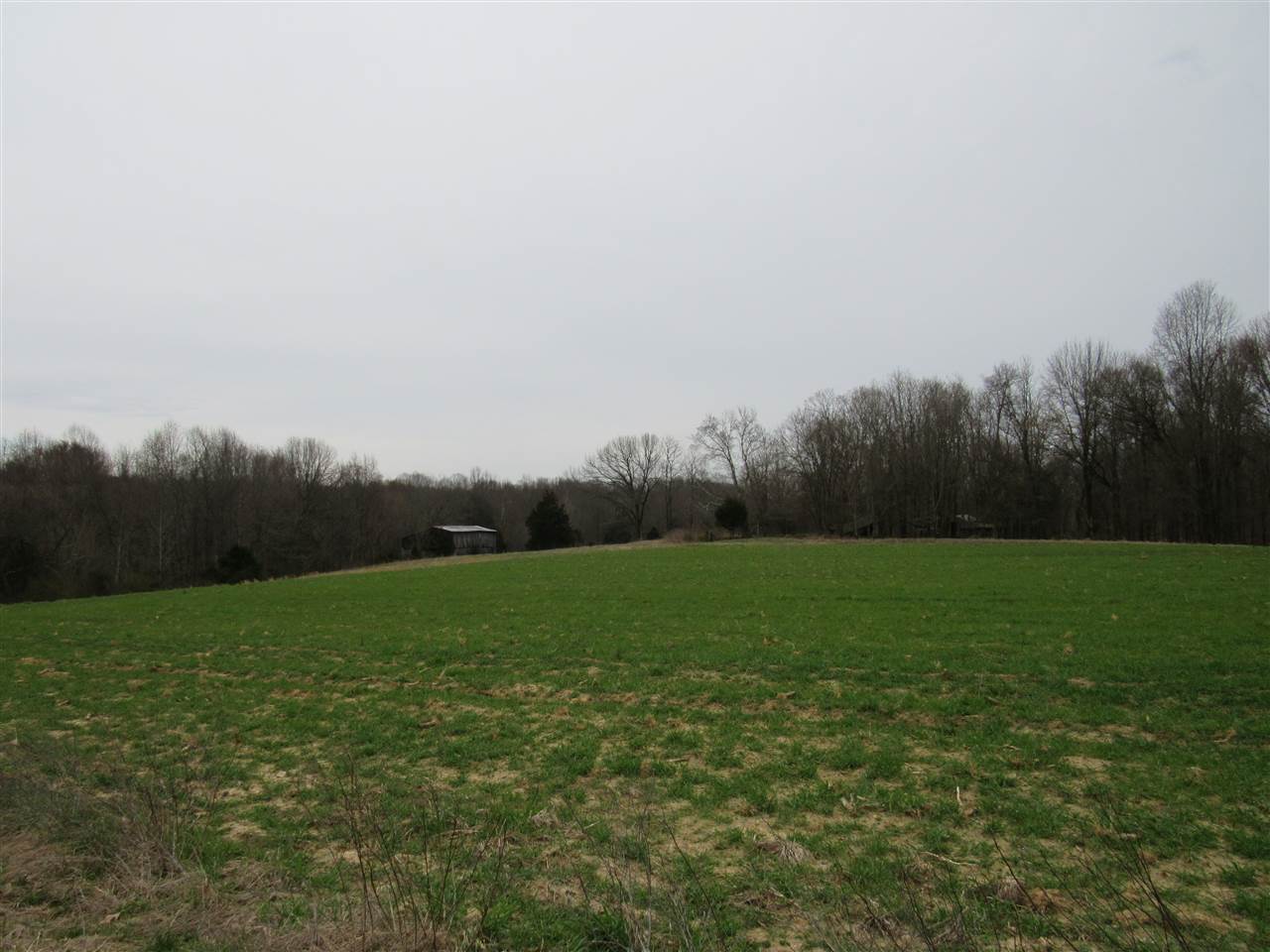 8000 Capitol Hill Road Fountain Run, KY 42133 - Photo 6 of 10 Gallery Image 6