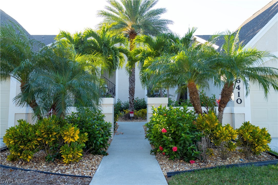 a view of a garden with a palm tree