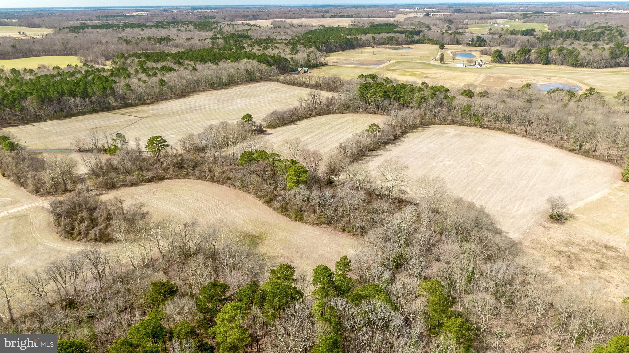 Windy Hill Road Trappe, MD 21673 - Photo 14 of 20 Gallery Image 14