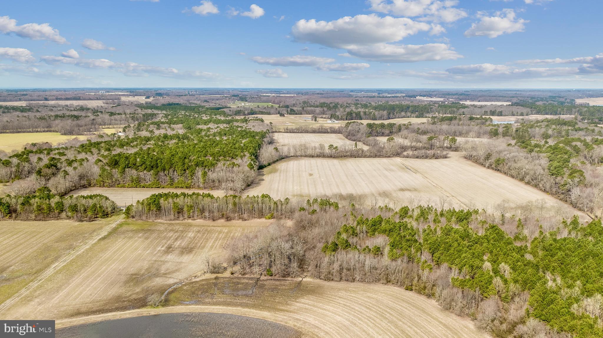 Windy Hill Road Trappe, MD 21673 - Photo 3 of 20 Gallery Image 3