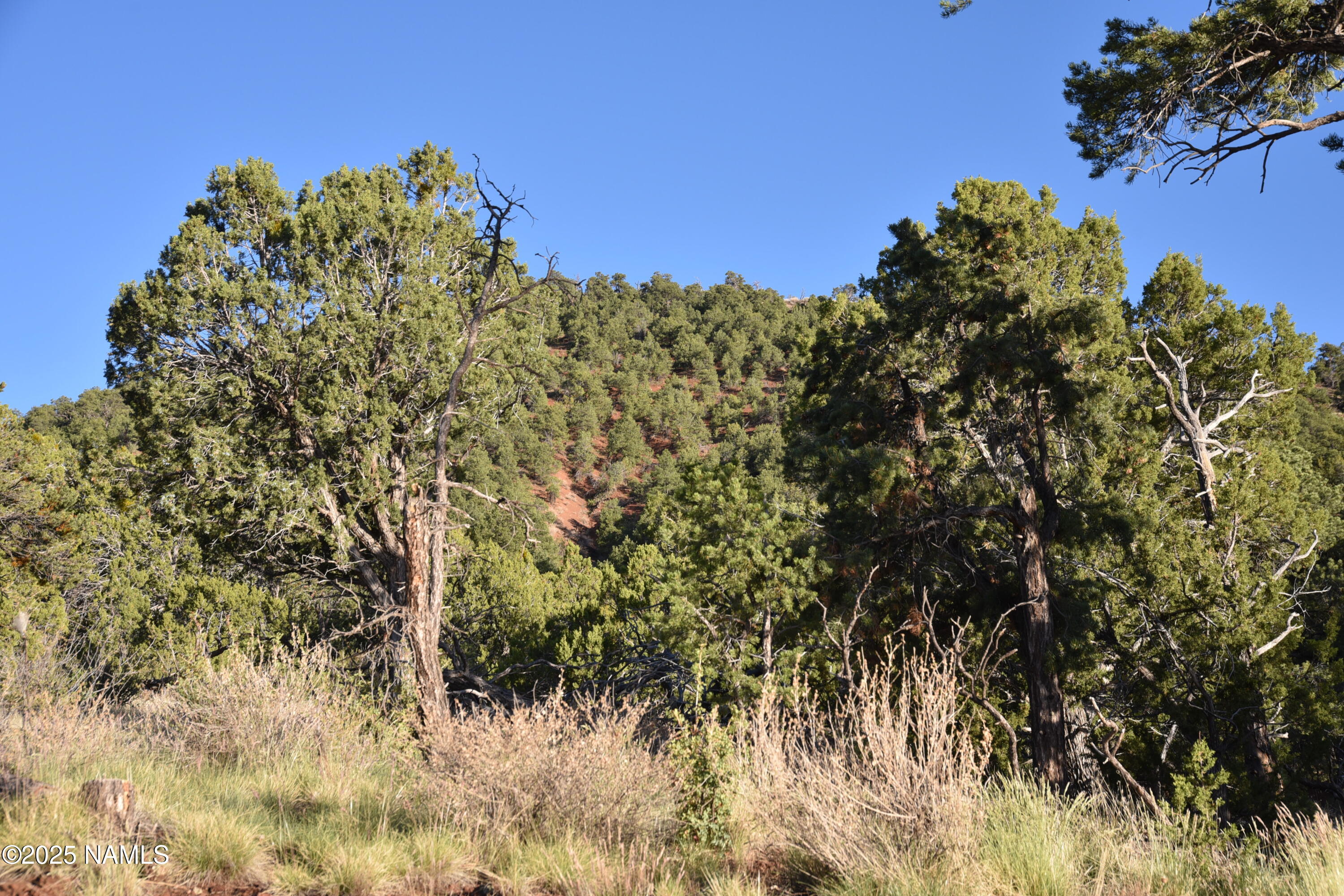 1026 East San Marcos Road Williams, AZ 86046 - Photo 27 of 29 DSC_4280