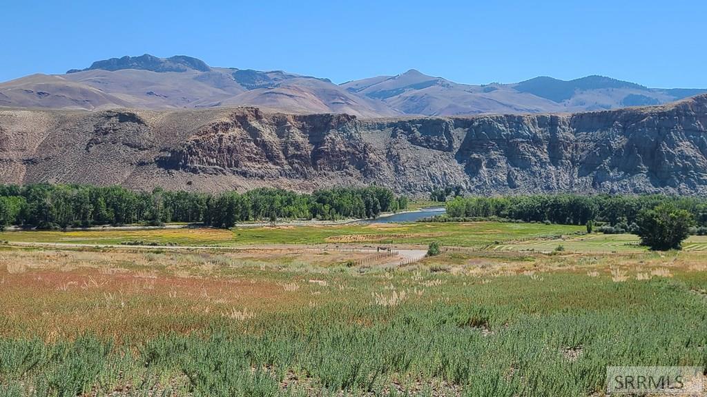 5 Homestead Trail Challis, ID 83226 - Photo 18 of 23