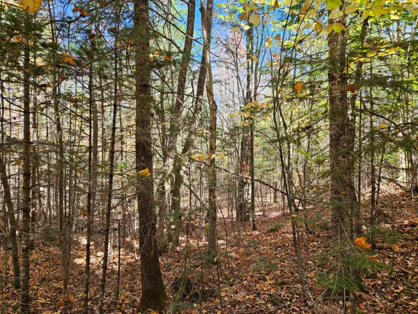 $365,000 | Mr7-l31&37 Taylor Hill Road, New Vineyard, ME 04956