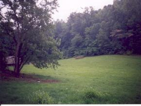 Lot #3 Short Coal Chute Road Elizabethton, TN 37643 - Photo 1 of 1 Photo 1