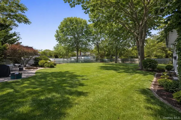 a view of a tree with a park