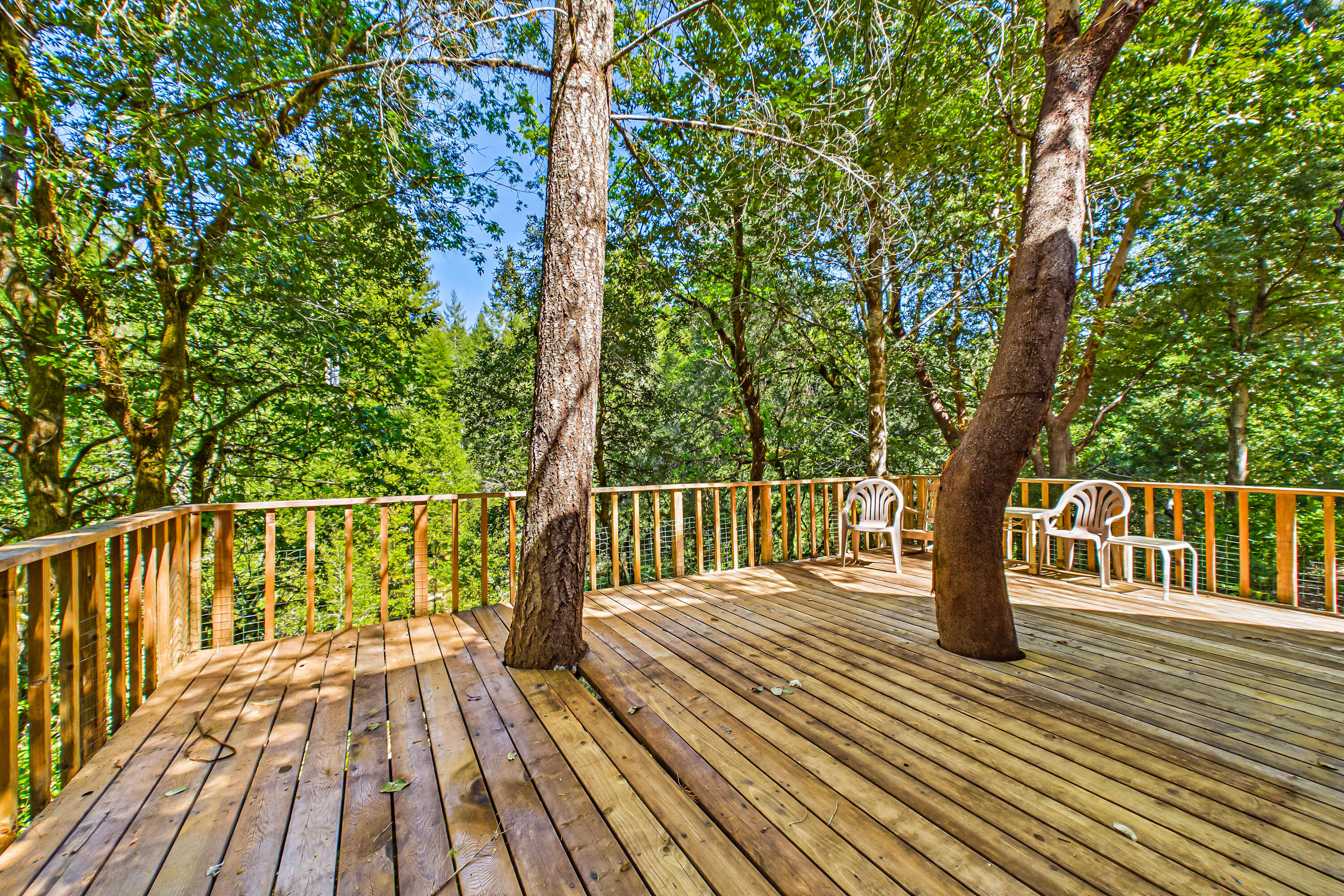 290 Green House Road Whitethorn, CA 95589 - Photo 24 of 73