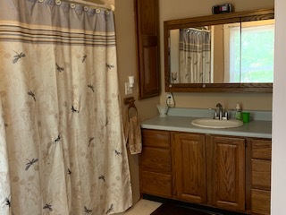 13182 Lyndon Road Morrison, IL 61270 - Photo 14 of 19 a bathroom with a sink a mirror and a shower