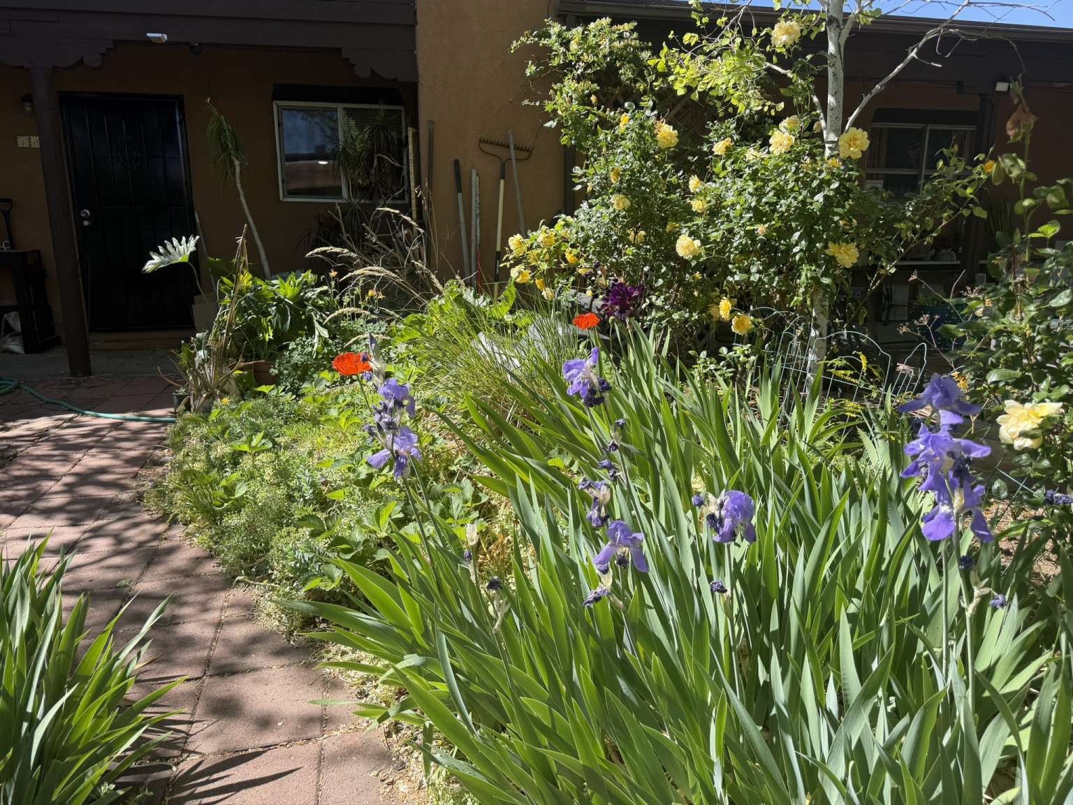 2800 Cerrillos Road, Unit 188 Santa Fe, NM 87507 - Photo 41 of 46