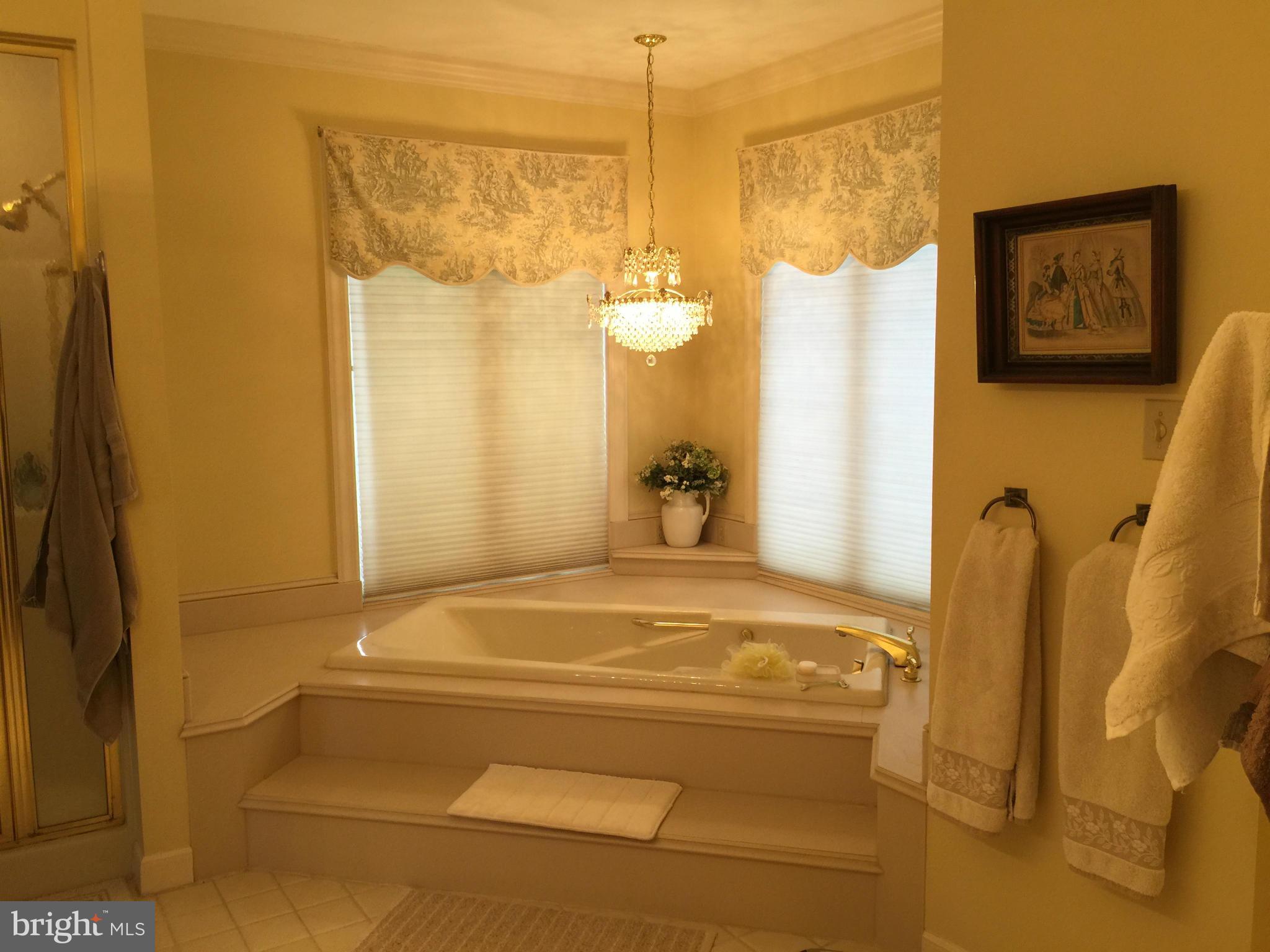 17134 Lappans Road Hagerstown, MD 21740 - Photo 12 of 30 Bath (Master)