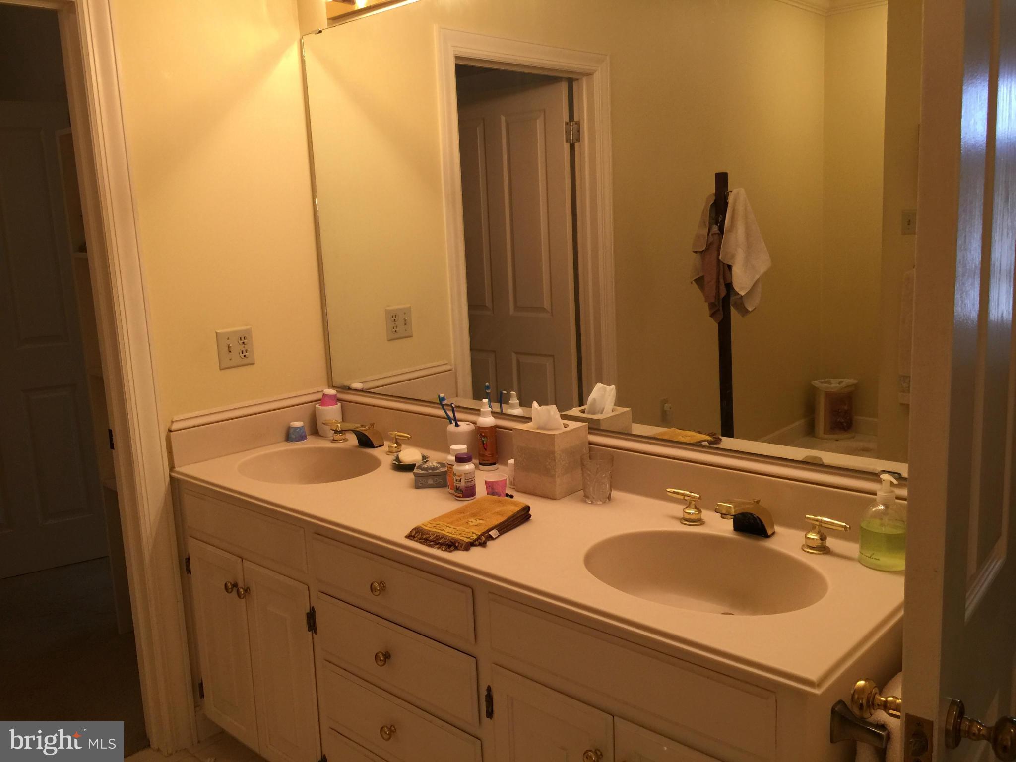 17134 Lappans Road Hagerstown, MD 21740 - Photo 13 of 30 Bath (Master)