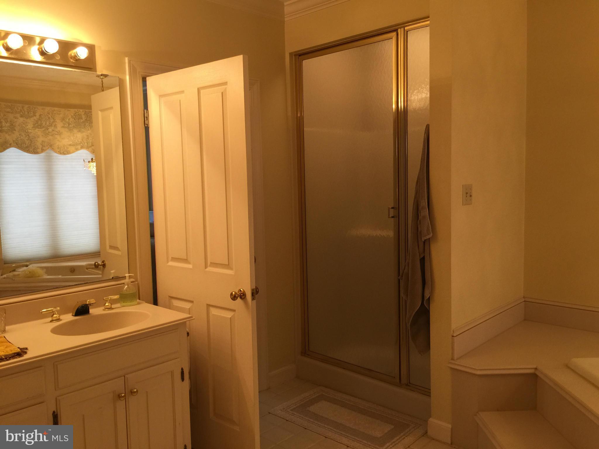 17134 Lappans Road Hagerstown, MD 21740 - Photo 14 of 30 Bath (Master)